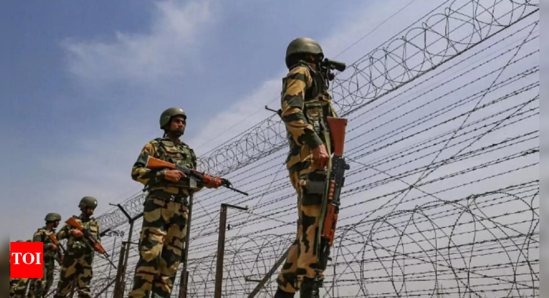 bsf-nabs-senior-bangladesh-cop;-infiltration-attempt-foiled;-handed-over-to-bengal-police