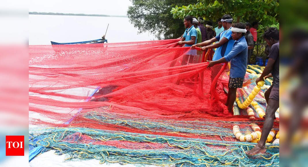 boat-owners-must-ensure-worker-health-checks-at-cutbona-jetty
