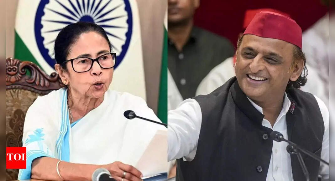 didi,-sp-won’t-join-jpc-on-bill-on-dismissal-of-pm-&-cms