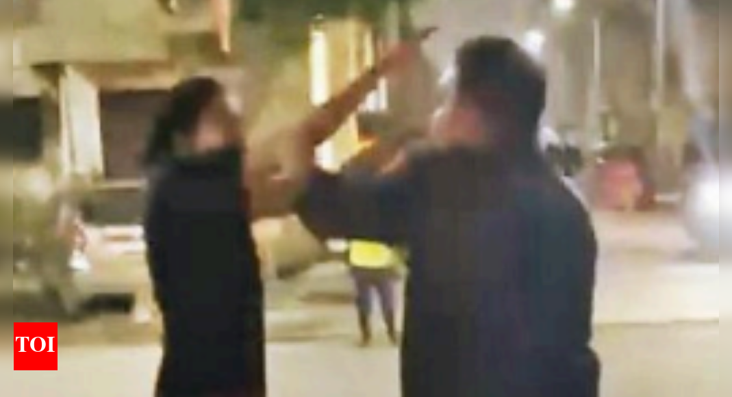 hours-after-sc-order,-man-slaps-woman-9-times-for-feeding-stray-dogs-in-ghaziabad