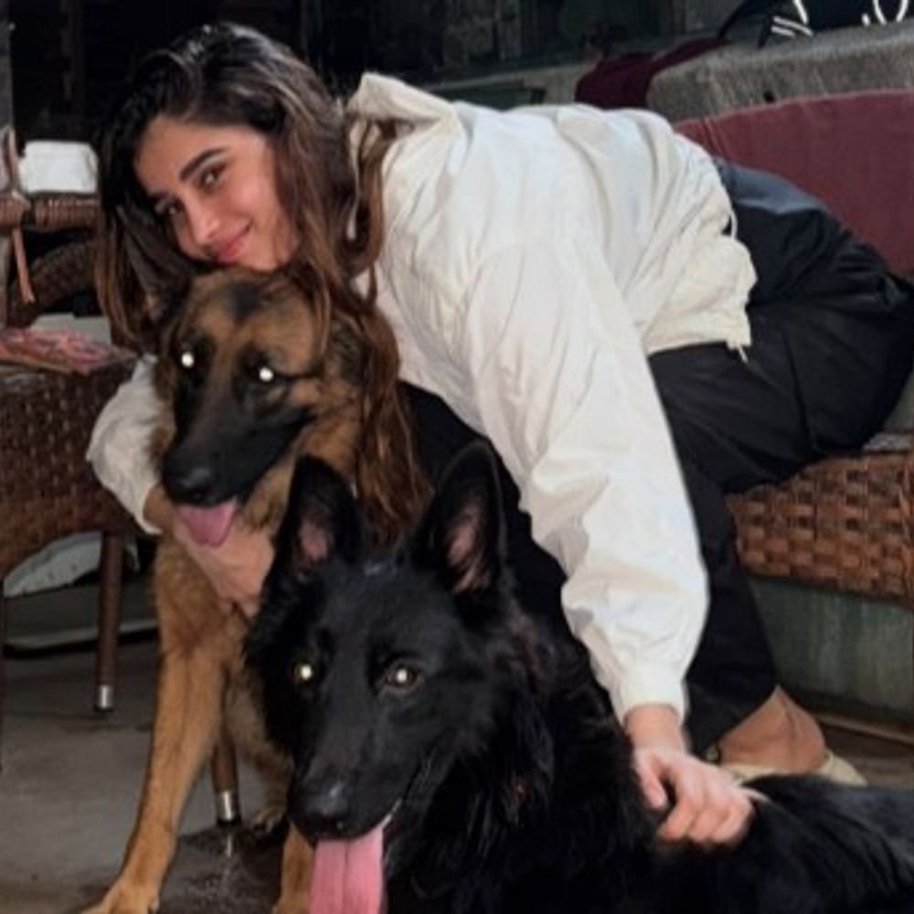 राशा-थडानी-ने-रेस्क्यू-किए-थे-आवारा-कुत्ते-और-बिल्ली:कहा-बारिश-में-हाईवे-पर-बेसहारा-छोड़े-गए-थे,-पिछले-मालिकों-ने-पीटा-था;-एडॉप्शन-की-अपील-की