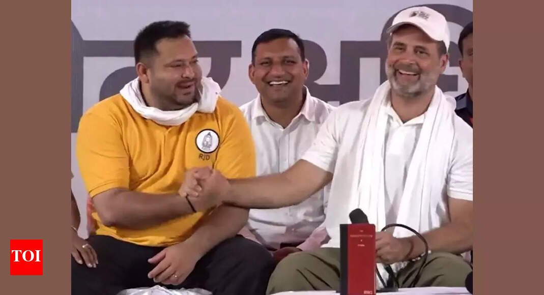 ‘should-get-married’:-tejashwi-advises-chirag;-rahul-responds-in-jest