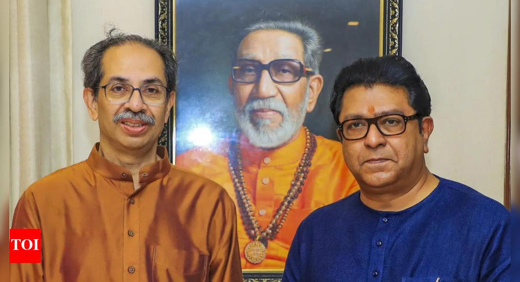 ‘vote-theft’:-thackerays-back-rahul’s-claim;-ask-workers-to-be-alert