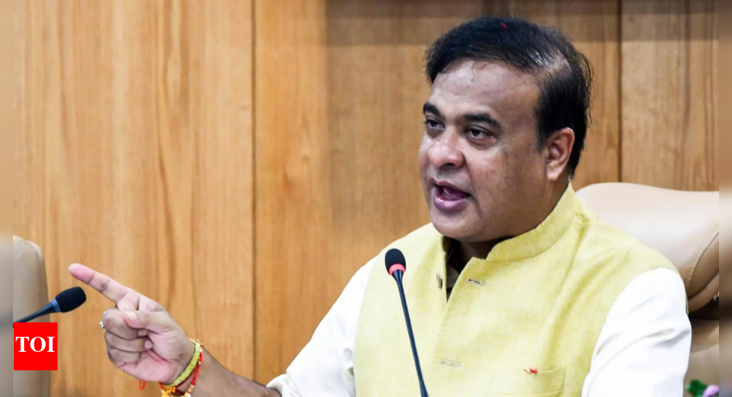 himanta-accuses-activist,-congress,-foreign-elements-of-bid-to-destabilise-assam