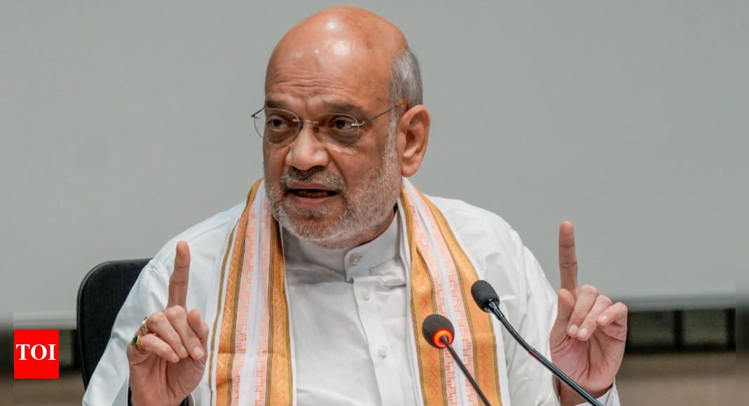 ‘shouldn’t-make-a-fuss’:-shah-on-constitution-amendment-bill,-ex-vp-dhankhar-and-rahul