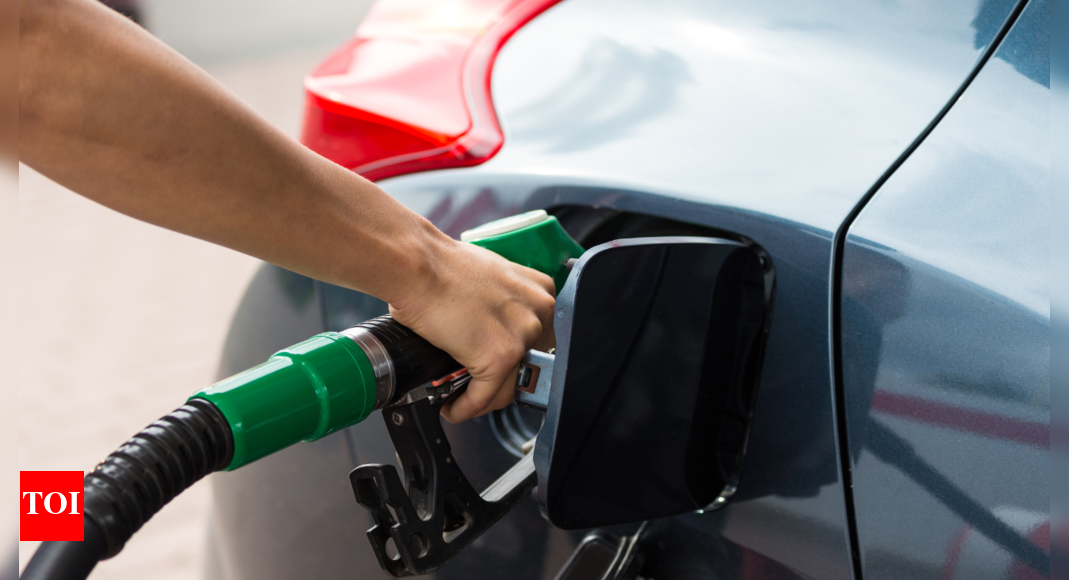 ethanol-blended-petrol-push:-car-experts-warn-e20-petrol-may-reduce-fuel-efficiency