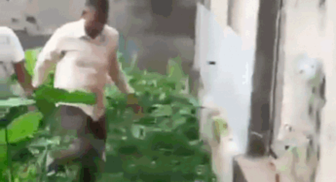 jumped-wall,-threw-phone-in-drain:-how-tmc-mla-tried-to-evade-ed