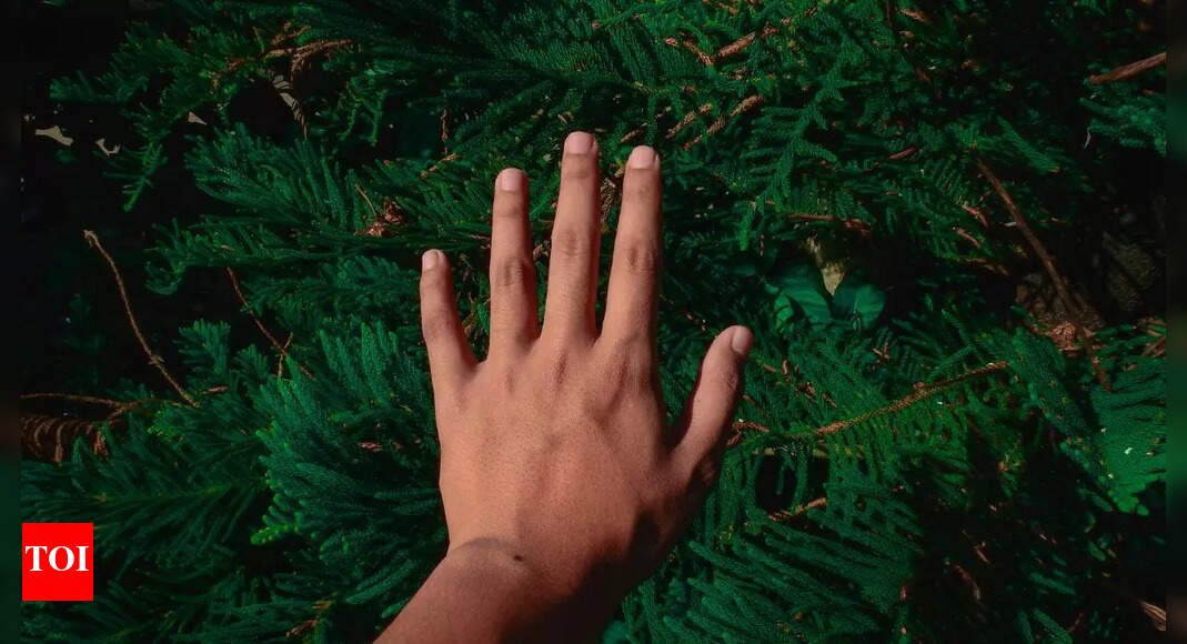 why-humans-can’t-digest-grass:-understanding-the-biological-limitations