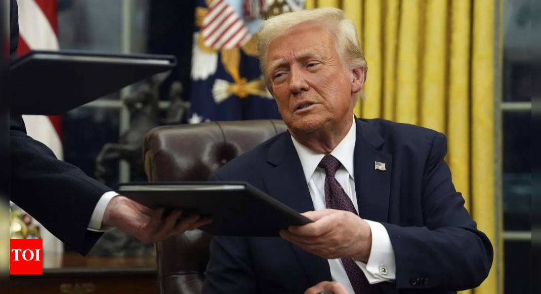 ‘obstacles-to-free-trade’:-german-envoy-backs-india-on-trump-tariffs