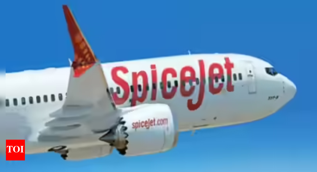 srinagar-airport-brawl:-army-official-put-on-spicejet-no-fly-list-for-5-years