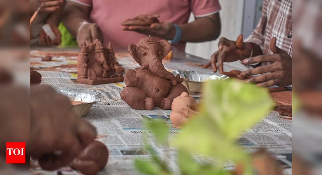 punekars-turn-to-seed-ganeshas-for-a-green-ganeshotsav