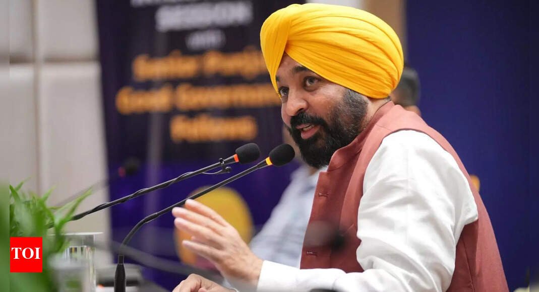 cm-mann-deploys-punjab-govt-chopper-to-help-flood-affected-people