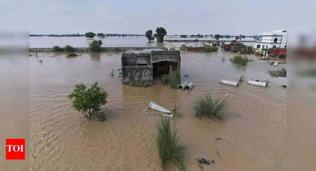 ravi,-sutlej-&-chenab-in-spate-in-pakistan,-28000-evacuated