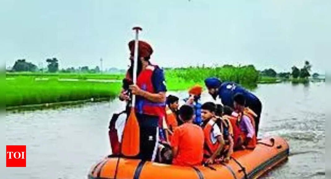 4-youths-cling-to-tree,-escape-being-swept-away-to-pakistan