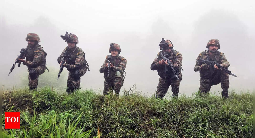 j&k:-army-foils-infiltration-bid-along-loc-in-bandipora;-2-terrorists-killed