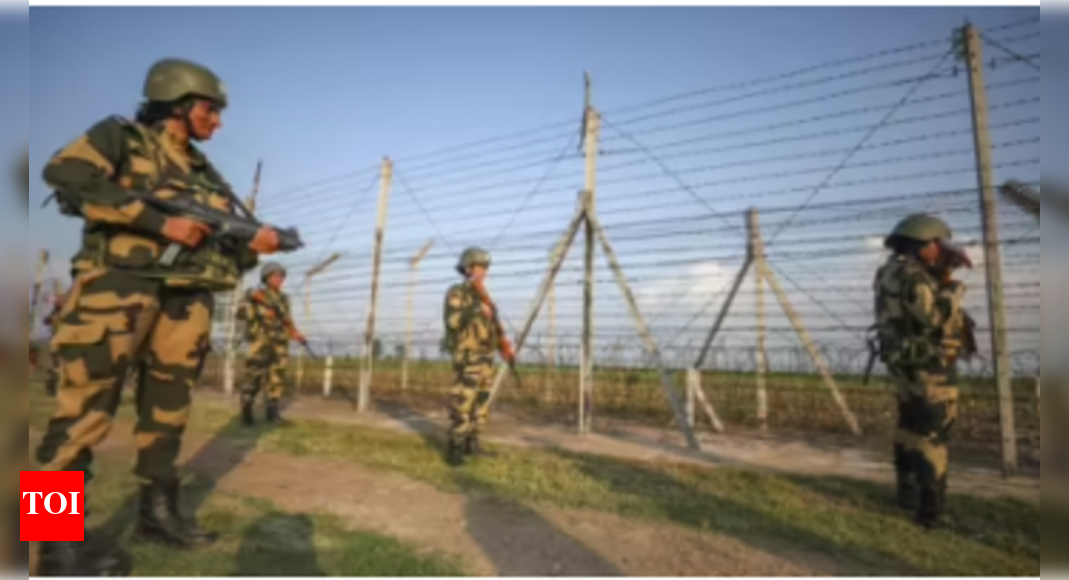 j&k:-infiltration-bid-foiled;-2-intruders-shot-dead-in-bandipora