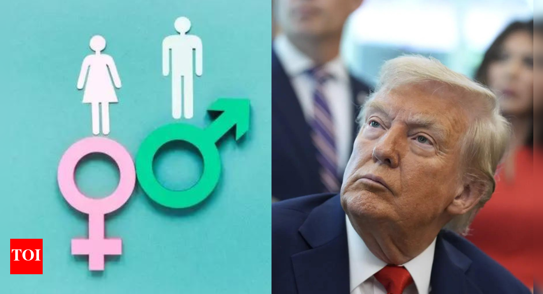 ‘poison-in-mind’:-trump’s-crackdown-on-gender-identity;-says-revise-curriculum-or-face-grant-cuts
