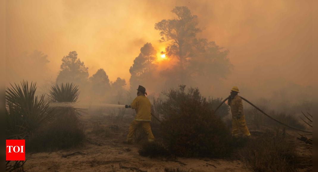 climate-driven-wildfires-reversing-pollution-progress-in-n.-america:-study