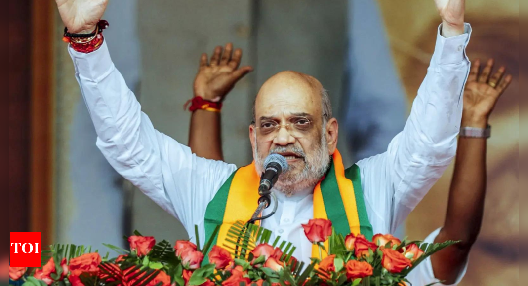 ‘will-rid-india-of-illegal-foreigners’:-amit-shah-renews-vow-in-assam