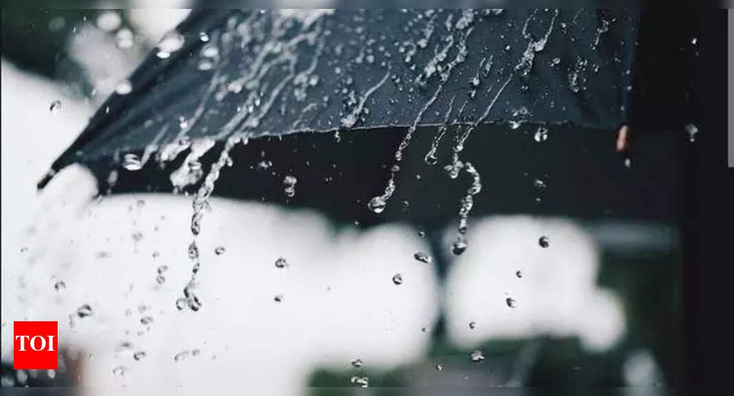 heavy-rain-and-strong-winds-cause-widespread-damage-and-disruption-in-goa