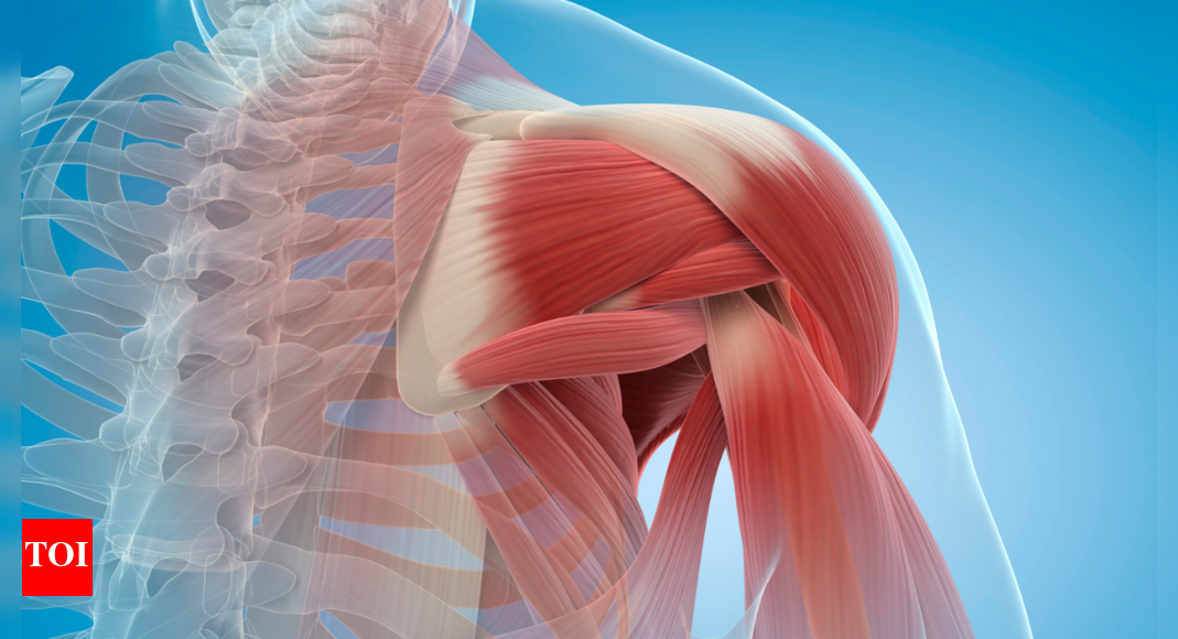 why-losing-muscle-can-most-likely-be-a-strong-sign-of-early-death