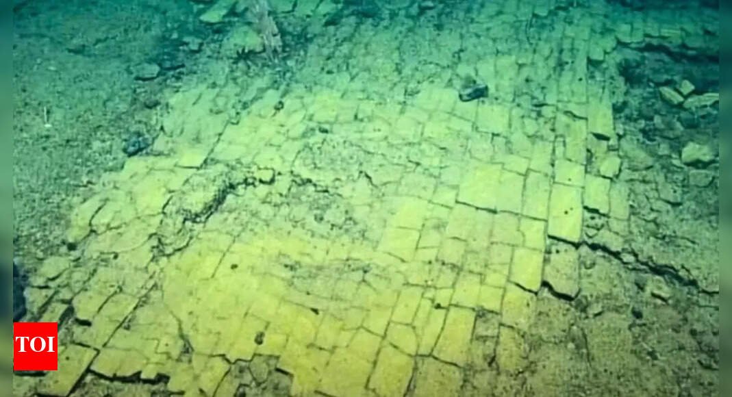 yellow-brick-road’-under-pacific:-volcanic-rock-revealed;-deep-sea-mystery-inspires-awe