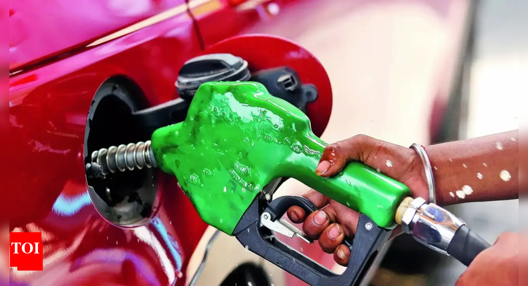 industry-dub-public-concerns-around-e20-fuel-as-‘hearsay-and-misinformation’