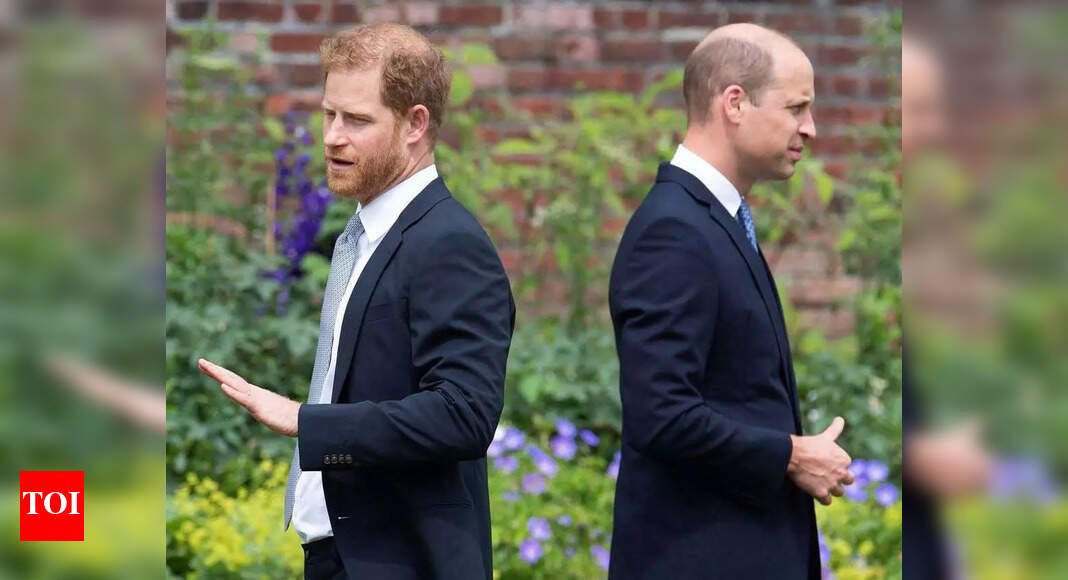 feud-at-diana’s-grave:-prince-william-and-prince-harry-split-over-mother’s-30th-death-anniversary-films