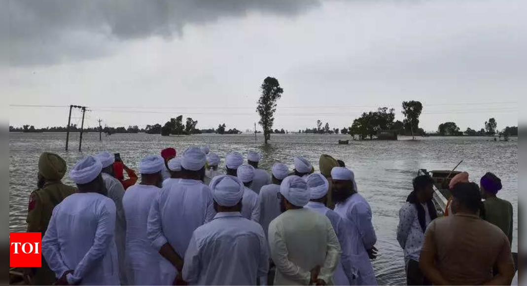 punjab’s-worst-floods-in-nearly-4-decades:-1,018-villages-submerged,-crops-damaged