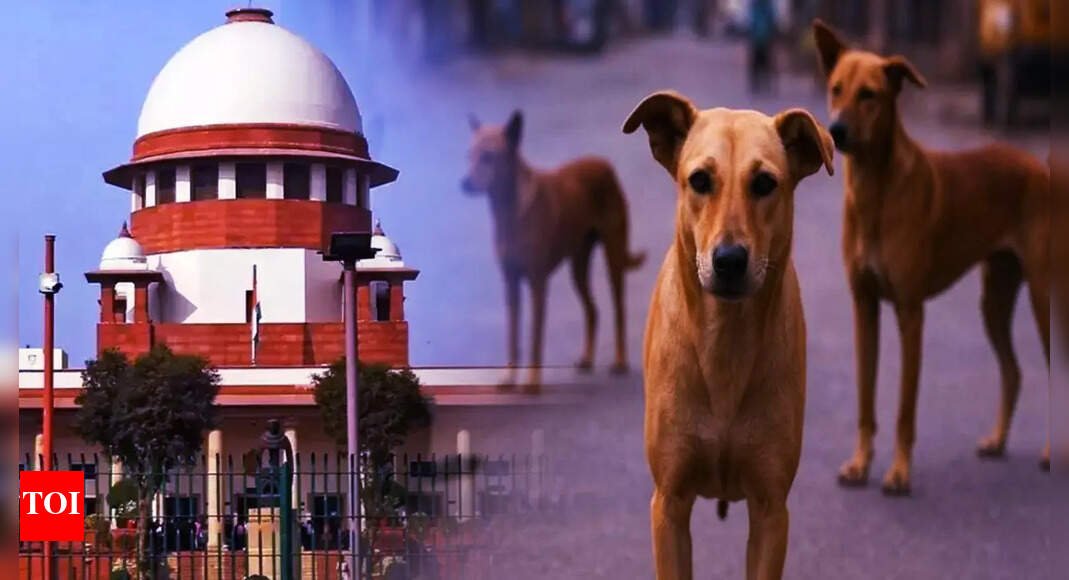 ‘made-me-famous-world-over’:-supreme-court-judge-vikram-nath-jokes-on-stray-dogs-case;-‘thanks’-cji-gavai