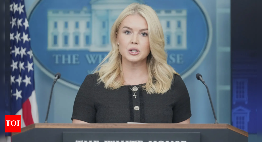 ’15-times-higher’:-karoline-leavitt-compares-chicago-murder-rate-to-delhi