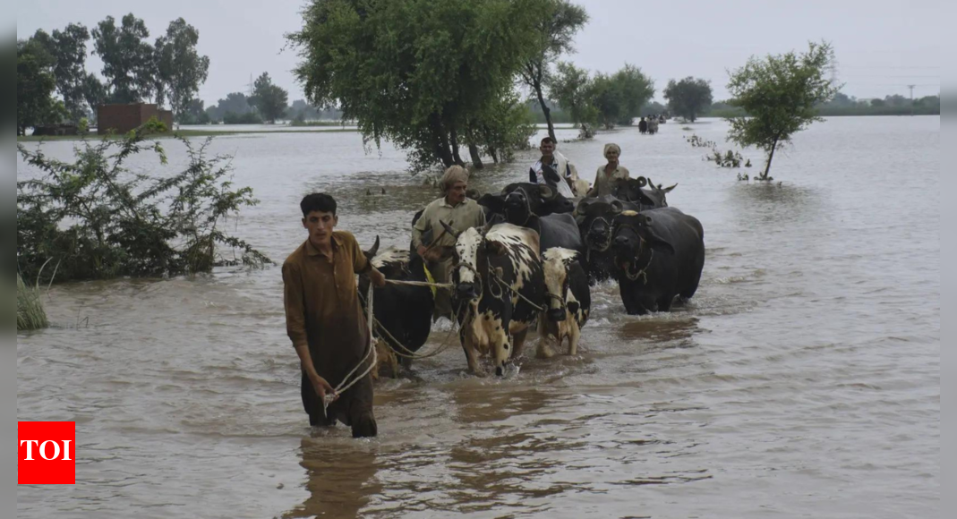 33-killed,-7-lakh-evacuated:-pak’s-punjab-faces-biggest-flood-in-history