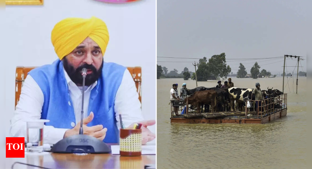 punjab-floods:-cm-mann-seeks-rs-60k-cr-from-centre;-schools-closed