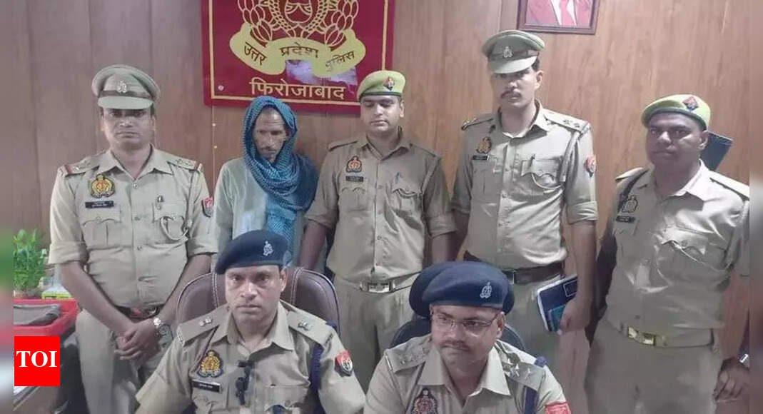 53-year-old-man-kills-10-year-old-girl-after-failed-rape-attempt;-held