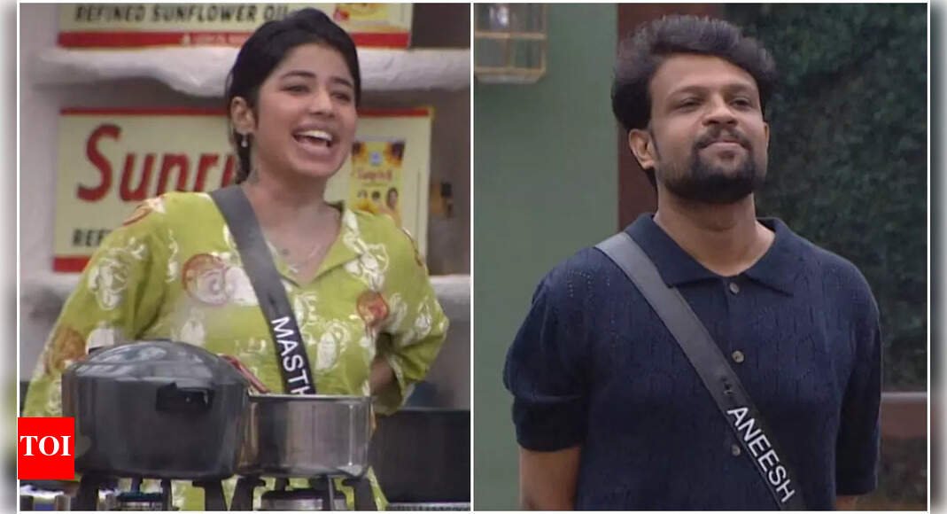 bigg-boss-malayalam-7:-mastani-makes-an-insensitive-comment-on-aneesh’s-broken-marriage,-asks,-‘did-your-wife-leave-you-because-of-this-character?’