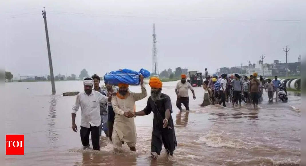 37-dead-in-punjab-floods:-3.55-lakh-people-impacted;-175,216-hectares-of-standing-crops-submerged