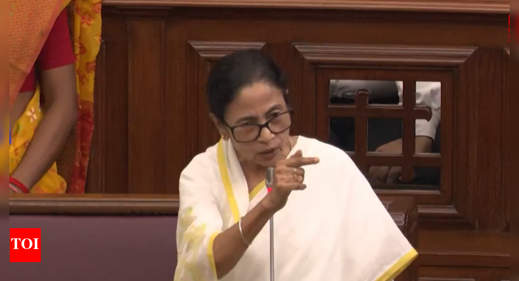 watch:-bjp-whip-dragged-out-of-bengal-assembly-as-mamata-shouts-‘vote-chor’