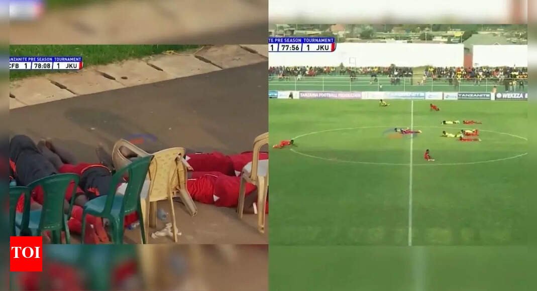 bees-attack!-match-stopped-due-to-unexpected-visitor-in-africa-–-watch