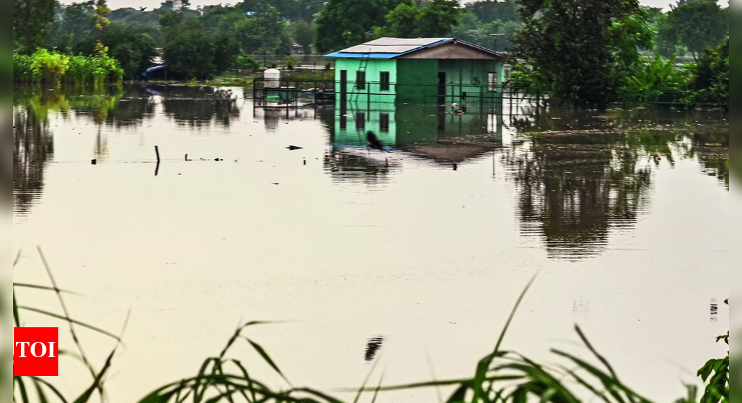 from-plush-to-slush:-yamuna-floodwaters-swamp-noida’s-luxury-farmhouses;-pools,-lawns,-banquet-halls-submerged