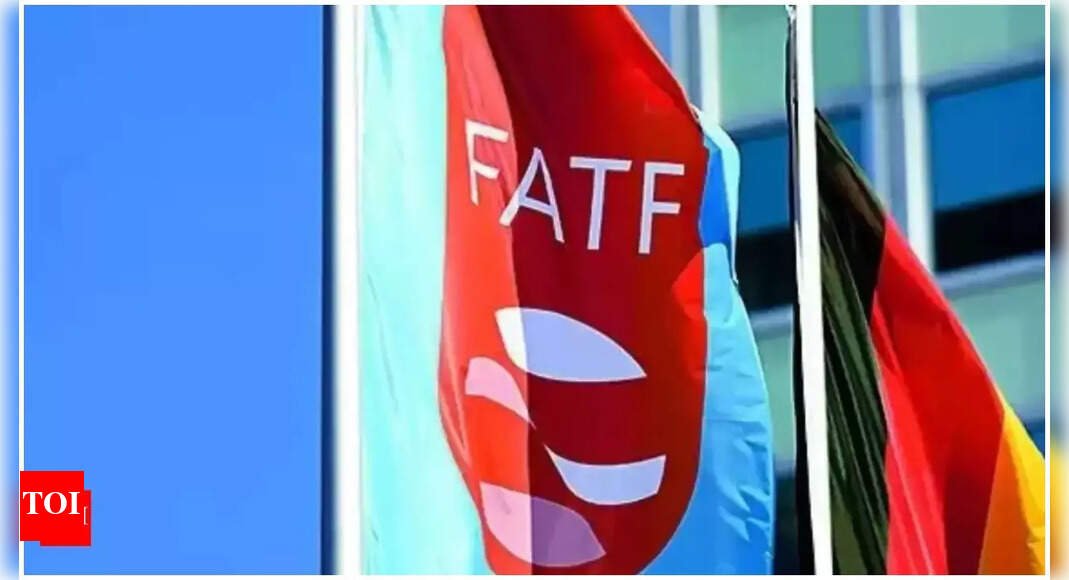 fatf-lauds-work-of-mha’s-portal-for-international-cooperation