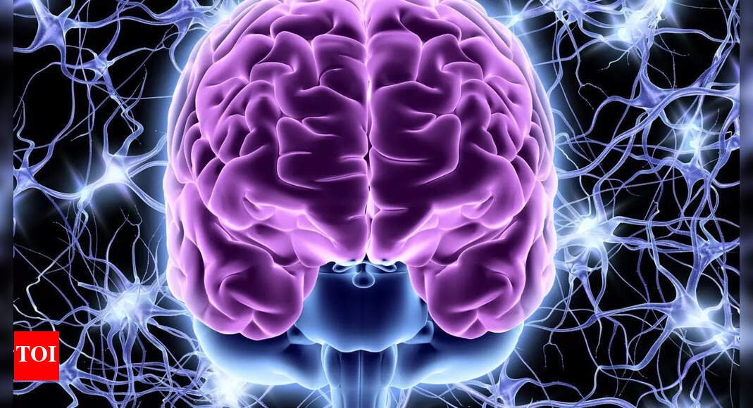 neuroscientist-reveals-the-best-exercise-for-growing-new-brain-cells