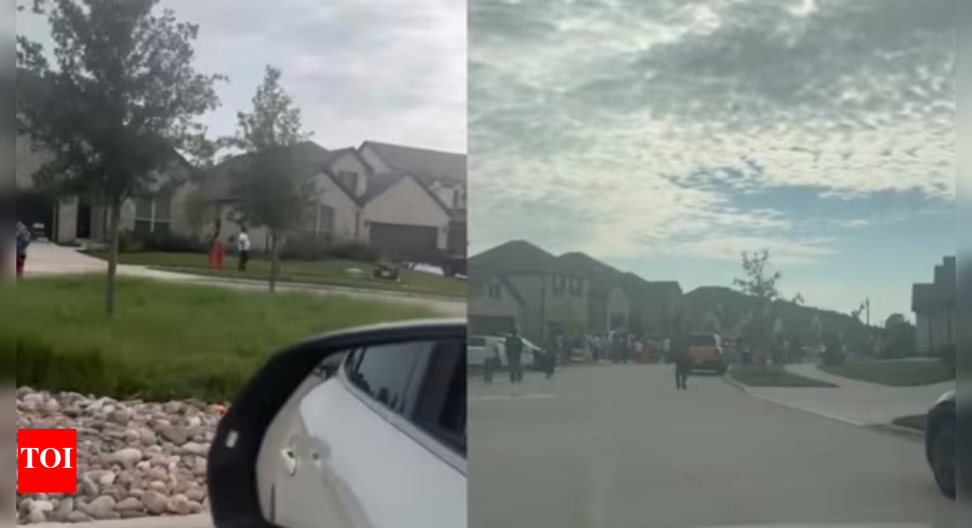 ‘want-kids-to-grow-up-in-us.-not-india’:-viral-rant-in-texas-stokes-anti-immigrant-sentiment-online