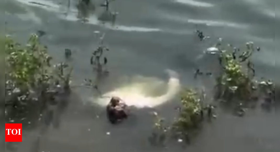 mp-man-floats-‘dead’-in-pond-for-20-minutes;-jolts-back-to-life-as-cops-rush-in