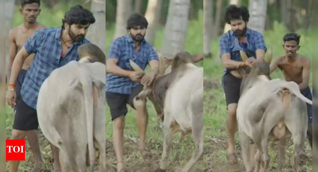 ashok-gets-injured-on-the-‘manju-virattu’-set;-a-bull-scene-goes-wrong—an-unexpected-accident-raises-safety-concerns