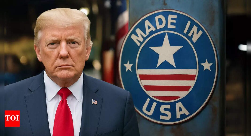 hyundai-raid,-visa-hurdles:-how-trump’s-made-in-us-dream-is-being-paralysed-–-explained