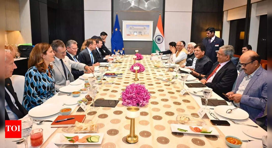india-eu-fta:-both-sides-reaffirm-commitment-to-‘early-conclusion’