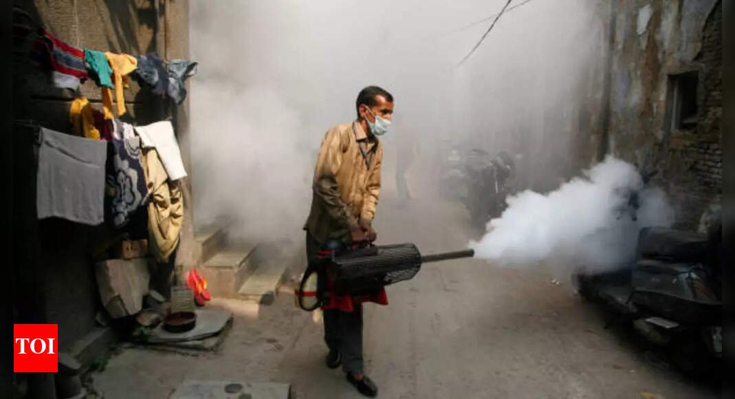 india-ramps-up-fight-against-dengue,-malaria;-health-ministry-issues-directives