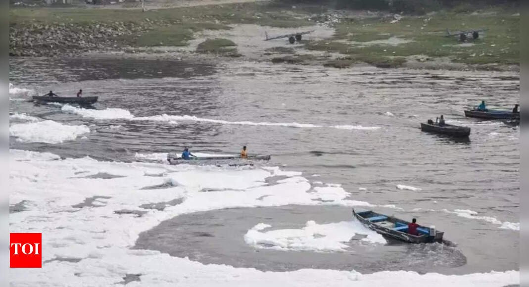delhi-government-plans-to-revive-yamuna-by-dredging