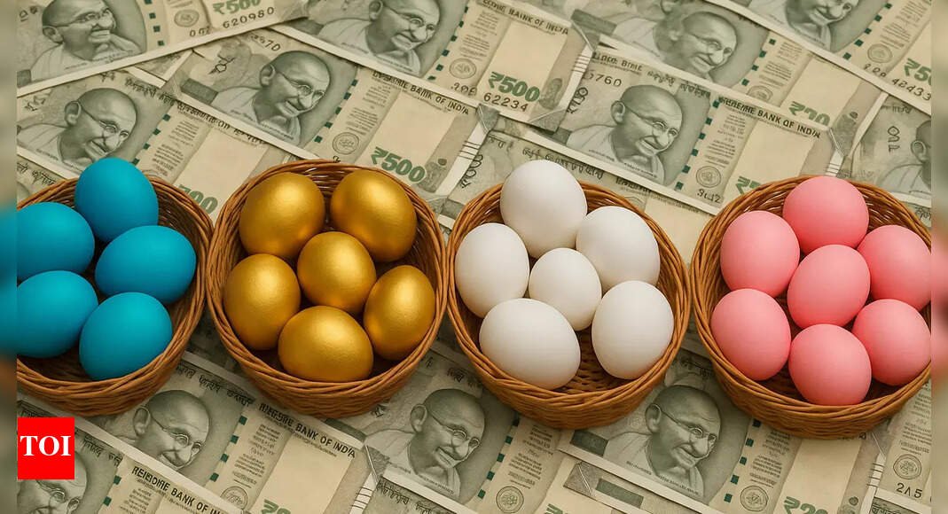 don’t-put-all-eggs-in-long-duration-basket!-experts-say-short-term-funds-can-offer-stable-returns-at-lower-risk-–-explained