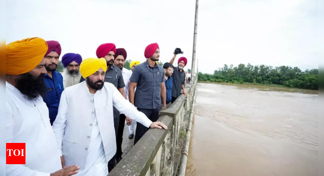 ‘enmity-with-punjab?’:-cm-mann-raps-centre’s-₹1,600-cr-punjab-flood-relief;-compares-it-with-afghanistan-aid